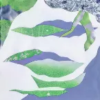 Pochette Fumi wo Amu