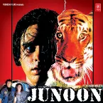 Pochette Junoon