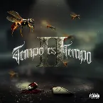 Pochette Tempo es Tempo II