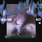 Pochette DIZZY