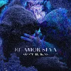 Pochette El amor sí va