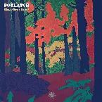 Pochette Dazzling Leaf