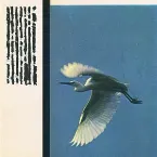 Pochette No Night Is Long Enough to Dream Twice