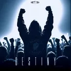 Pochette Destiny