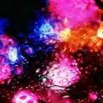 Pochette You’re Still in It