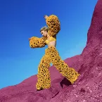 Pochette Per ongeluk