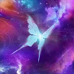 Pochette Fractured Melody