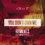 Pochette You Don’t Own Me REMIXES