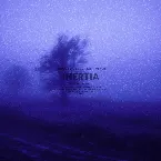 Pochette inertia (slowed + reverb)