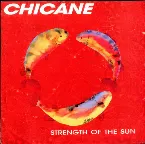 Pochette Strength Of The Sun