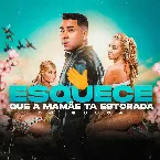 Pochette Esquece que a Mamãe ta Estourada