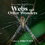 Pochette Webs and Other Wonders