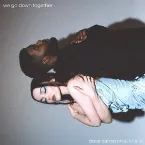 Pochette We Go Down Together
