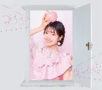 Pochette door