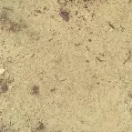 Pochette THE EAR DROPS