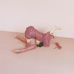 Pochette ドラム式探査機