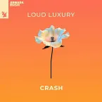 Pochette Crash