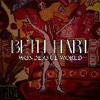 Pochette Wonderful World