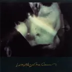 Pochette In Pittsburgh