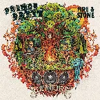 Pochette Fire & Stone