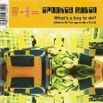 Pochette What’s a Boy to Do?