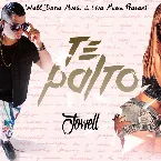 Pochette Te palto