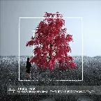 Pochette Stay the Same