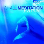 Pochette Whale Meditation
