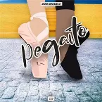 Pochette Pegaito