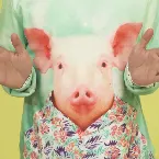 Pochette Piggy Piggy