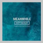 Pochette Meanwhile