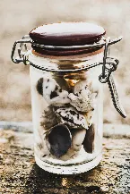 Pochette The Idyllic Innocence of Childhood That Lonesome Memories Coat With Mahogany Soot
