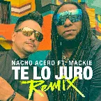 Pochette Te lo juro (remix)