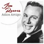 Pochette Adios Amigo