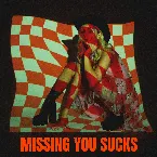 Pochette Missing You Sucks