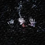 Pochette Pathological