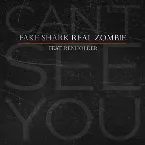 Pochette Can't See You