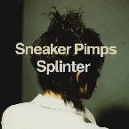 Pochette Splinter