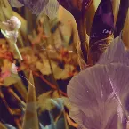 Pochette The Less I Say, the More I Hear