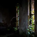 Pochette Obscured by Beams of Sorrow