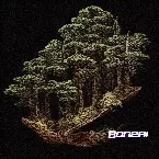 Pochette Bonzai