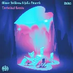 Pochette Ruins (Technikal remix)