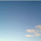 Pochette Do Birds Dream in Song?