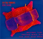 Pochette Diatom Ribbons