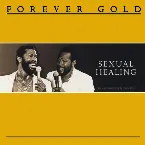 Pochette Forever Gold - Sexual Healing
