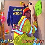 Pochette Southern Visionary