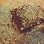 Pochette Suspension (Massive Swarms of Jellyfish)