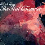 Pochette The Soul Consumer
