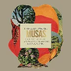 Pochette Musas: Un homenaje al folclore latinoamericano en manos de Los Macorinos, vol. 2