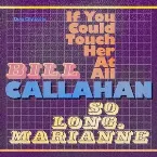 Pochette If You Could Touch Her at All